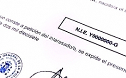 NIE – идентификационный номер иностранца в Испании.